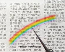 Load image into Gallery viewer, clear rainbow vinyl sticker sheet
